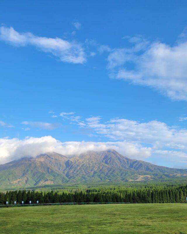 登ったねぇ
火山ガスがキツかった
#阿蘇山 #高岳 #中岳